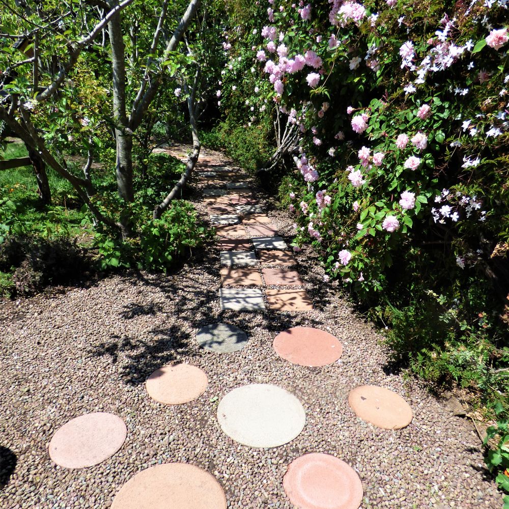 D Garcia's Landscaping - After: Pathway. All urbanite is gone and the pavers are sunk flat and securely. - Landscaping Near Me - Richmond, California D Garcia's Landscaping - After: Pathway. All urbanite is gone and the pavers are sunk flat and securely. - Landscaping Near Me - Richmond, California