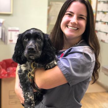 Hot vets near me that take walk ins Online