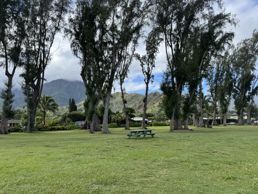 Hanalei Surfboard House by null