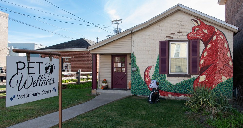 PET WELLNESS VETERINARY CENTER 214 S Main St, Cynthiana, Kentucky
