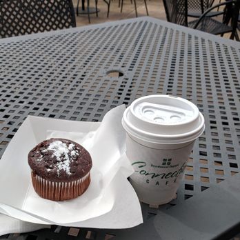 Connection Café - Chocolate muffin among the numerous pastry offerings. - Cafes Near Me - Brentwood, Tennessee Connection Café - Chocolate muffin among the numerous pastry offerings. - Cafes Near Me - Brentwood, Tennessee