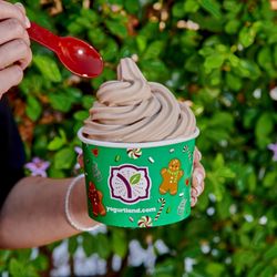 Yogurtland - A festive swirl of cool peppermint and rich mocha creates a refreshing, creamy frozen yogurt that's pure holiday magic.