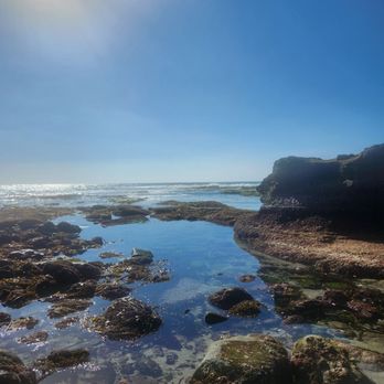 La Jolla Tide Pools - Beaches Near Me - La Jolla, California La Jolla Tide Pools - Beaches Near Me - La Jolla, California