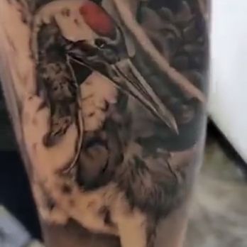 Tatt Me Up Studio - Crane Tattoo - Tattoo Near Me - Stockton, California Tatt Me Up Studio - Crane Tattoo - Tattoo Near Me - Stockton, California