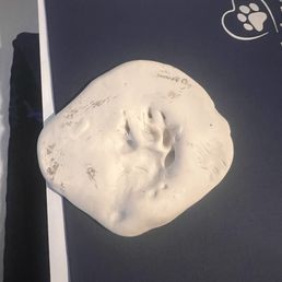 CodaPet - Veterinarians Near Me - Richmond, Virginia