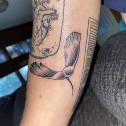 American Classic Tattoo - Maple seed tattoo