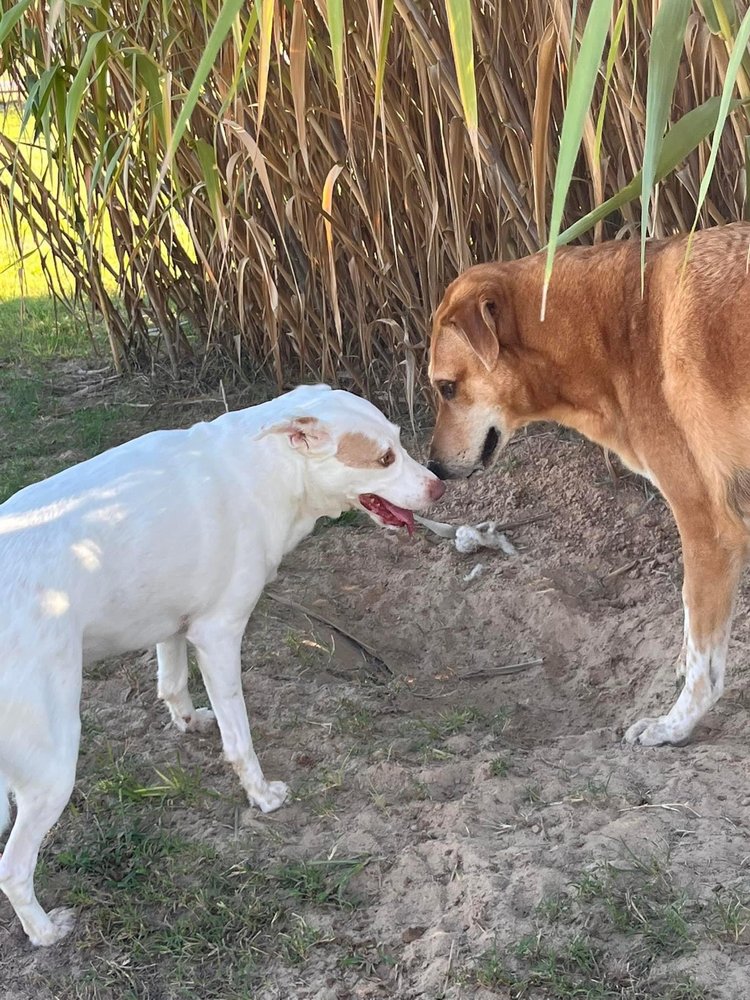 BED BATH ‘N BONZ Updated April 2024 15 Photos & 17 Reviews 20110 Hwy 69 S, Tyler, Texas