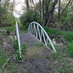 Smolenski Park - Bridge over a small creek