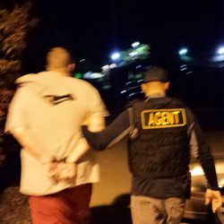 Free Bird Bail Bonds - Bondsman arresting