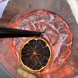 The Salty Dog - Maritime Spritz... was super refreshing