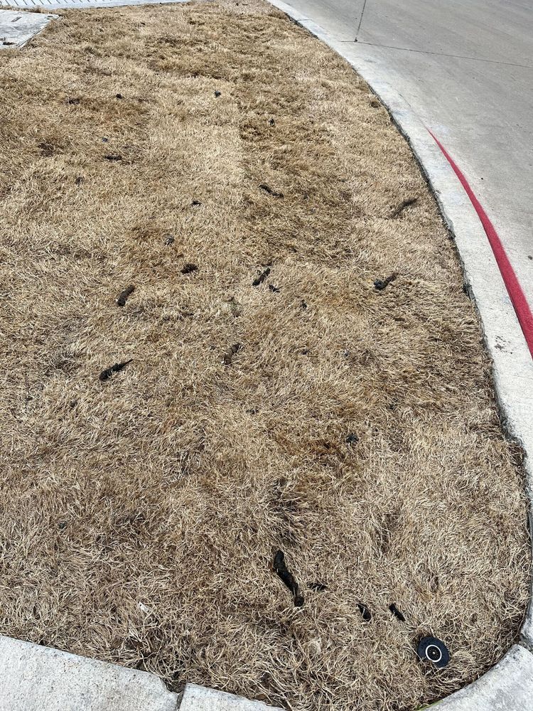 THE ROYALTON AT GRAND PRAIRIE Updated June 2024 2015 S Forum Dr