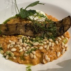 David Bann - Risotto