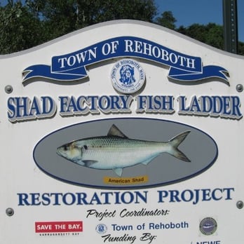 Shad Factory Pond - Ladder Restoration - Landmarks & Historical Buildings Near Me - Bristol, Massachusetts Shad Factory Pond - Ladder Restoration - Landmarks & Historical Buildings Near Me - Bristol, Massachusetts