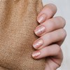 Posh Nails & Spa Tuscaloosa gift card