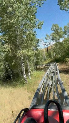 Park City Alpine Slide by null