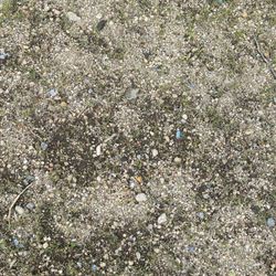 Pine Ridge Lawn & Landscape - Weeds and gravel