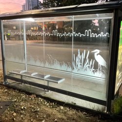 Bus Stop Shelter Poster Displays - Local bus shelters - sights captured during early-morning walk yesterday.
