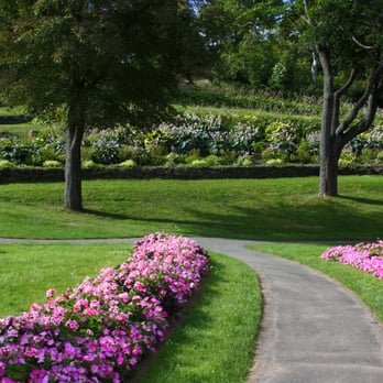Dartmouth Common - Dog Parks Near Me - Halifax, Nova Scotia