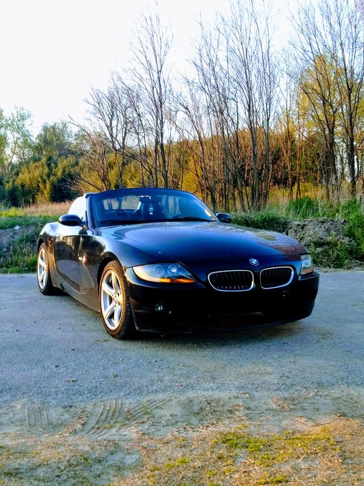 INDEPENDENCE TINT & AUTO Updated September 2024 1255 Batesville