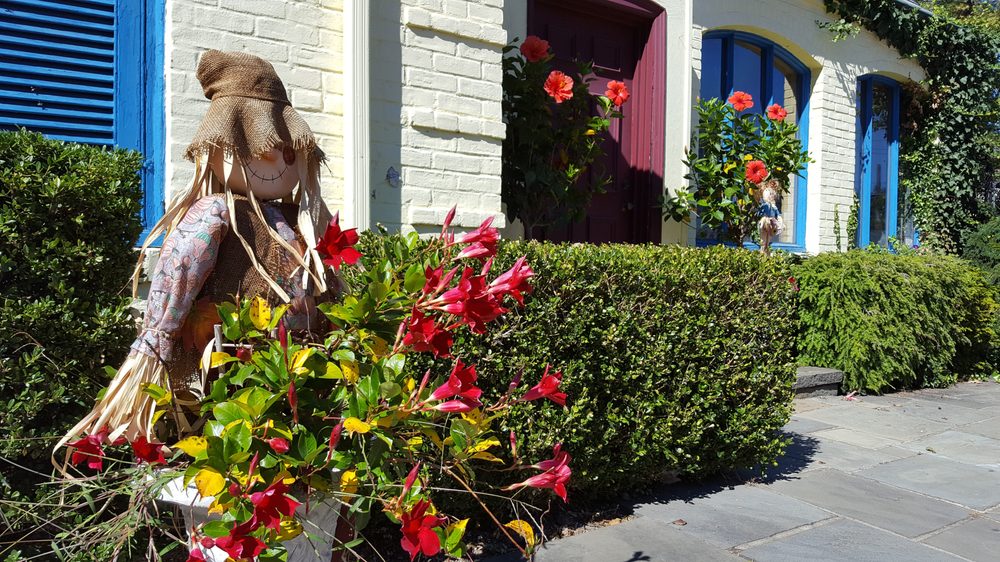 THE WOODMERE FLORIST LTD Updated October 2024 1106 Broadway, Woodmere, New York Florists