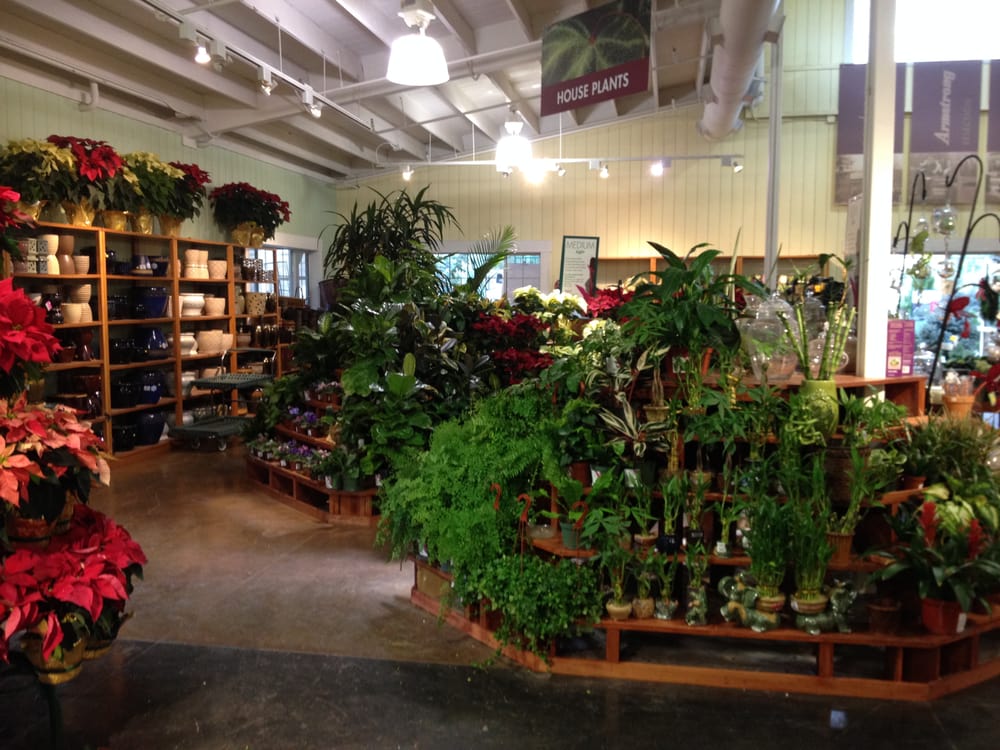 Armstrong Garden Centers 54 Photos 51 Reviews Nurseries