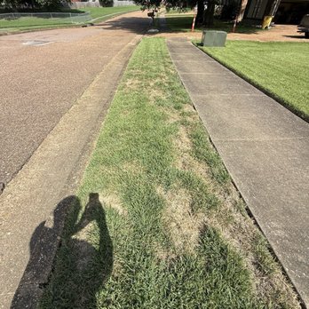 Weed Man - Ruined - Lawn Services Near Me - Memphis, Tennessee Weed Man - Ruined - Lawn Services Near Me - Memphis, Tennessee