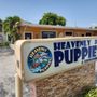 Photo of Heavenly Puppies