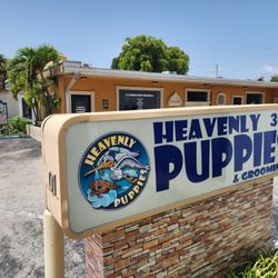 Heavenly Puppies