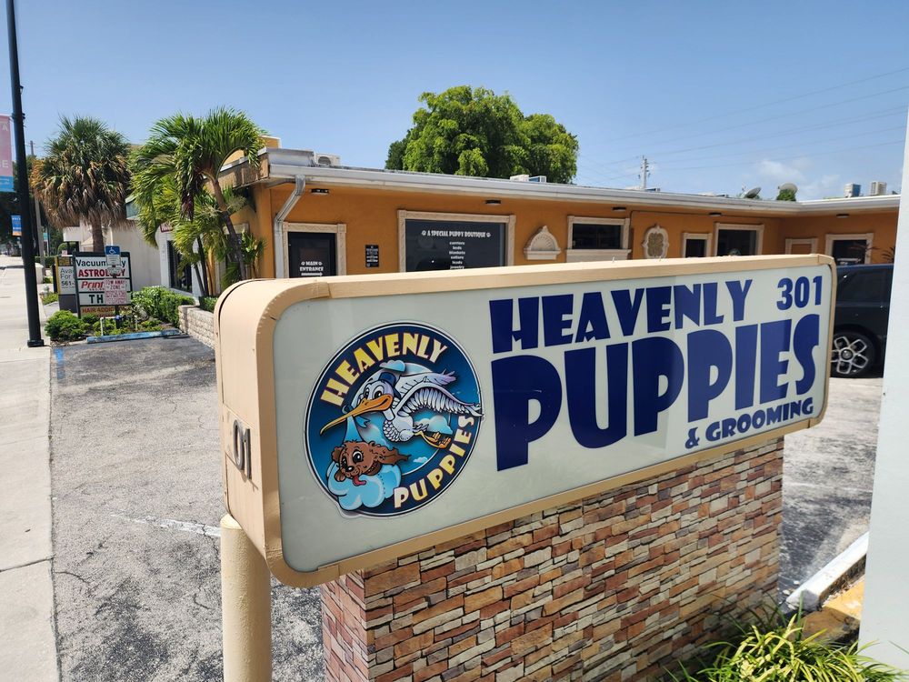 Heavenly Puppies Image