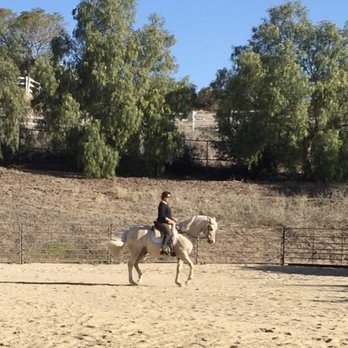 Roseland Farms - undefined - Horse Boarding Near Me - Moorpark, California Roseland Farms - undefined - Horse Boarding Near Me - Moorpark, California