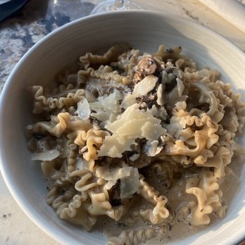 Gusto 501 - MAFALDE AI FUNGHI - Italian Near Me - Toronto, Ontario Gusto 501 - MAFALDE AI FUNGHI - Italian Near Me - Toronto, Ontario