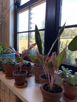 Southall Farm & Inn Farmstand by null