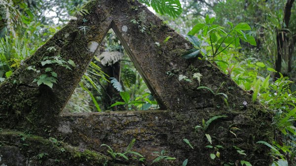 Las Pozas by null