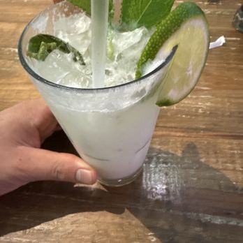 Alligator Reef Club - Bars Near Me - Melbourne, Florida