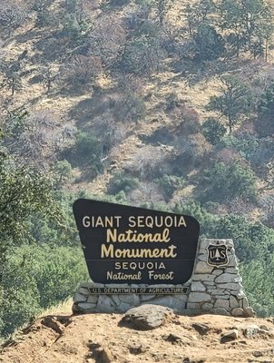 Sequoia National Forest by null