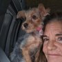 Yorkie Poo Kennels