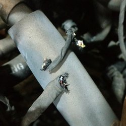 Scotty's Automotive