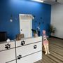 Photo of Jazmin's Pet Grooming