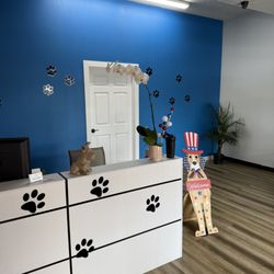 Jazmin's Pet Grooming