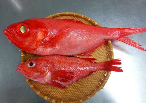 Hiromi sushi by null