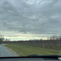 Layton's Chance Vineyard & Winery - Beautiful grounds.