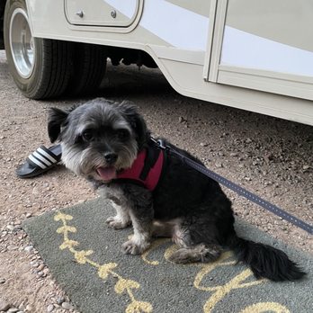 Zion Canyon Campground - Pippen at Zion Canyon Campground! - Campgrounds Near Me - Springdale, Utah Zion Canyon Campground - Pippen at Zion Canyon Campground! - Campgrounds Near Me - Springdale, Utah