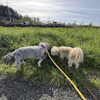Van Lierop Park - 11/5/25 Havanna & Kuba - Parks Near Me - Puyallup, Washington Van Lierop Park - 11/5/25 Havanna & Kuba - Parks Near Me - Puyallup, Washington