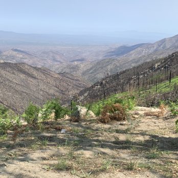 Mt Lemmon General Store and Gift Shop - New growth is coming up after the fire burnt so many acres! - Gift Shops Near Me - Mount Lemmon, Arizona Mt Lemmon General Store and Gift Shop - New growth is coming up after the fire burnt so many acres! - Gift Shops Near Me - Mount Lemmon, Arizona