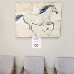 East Meadow Veterinary Clinic - Human butts on chairs only!