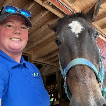McCorkle Chiropractic - Offering chiropractic to equine clients on site! - Chiropractors Near Me - Hillsborough, North Carolina McCorkle Chiropractic - Offering chiropractic to equine clients on site! - Chiropractors Near Me - Hillsborough, North Carolina