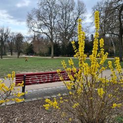 Heinrich-Lassen-Park - Spring is back.