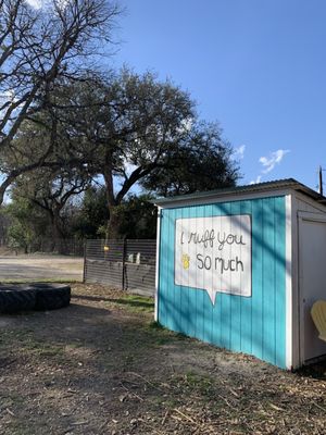 The Watering Bowl by null