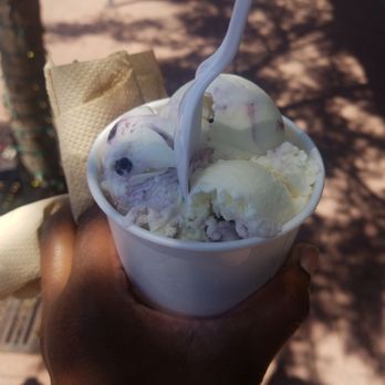 Scrumptious - Lemon blueberry - Ice Cream & Frozen Yogurt Near Me - Arvada, Colorado Scrumptious - Lemon blueberry - Ice Cream & Frozen Yogurt Near Me - Arvada, Colorado