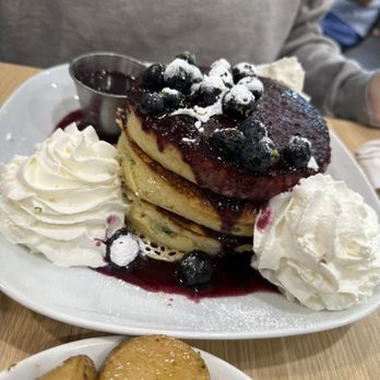 LOVELY SQUARE - Blueberry Pancakes - Breakfast & Brunch Near Me - Sarasota, Florida LOVELY SQUARE - Blueberry Pancakes - Breakfast & Brunch Near Me - Sarasota, Florida